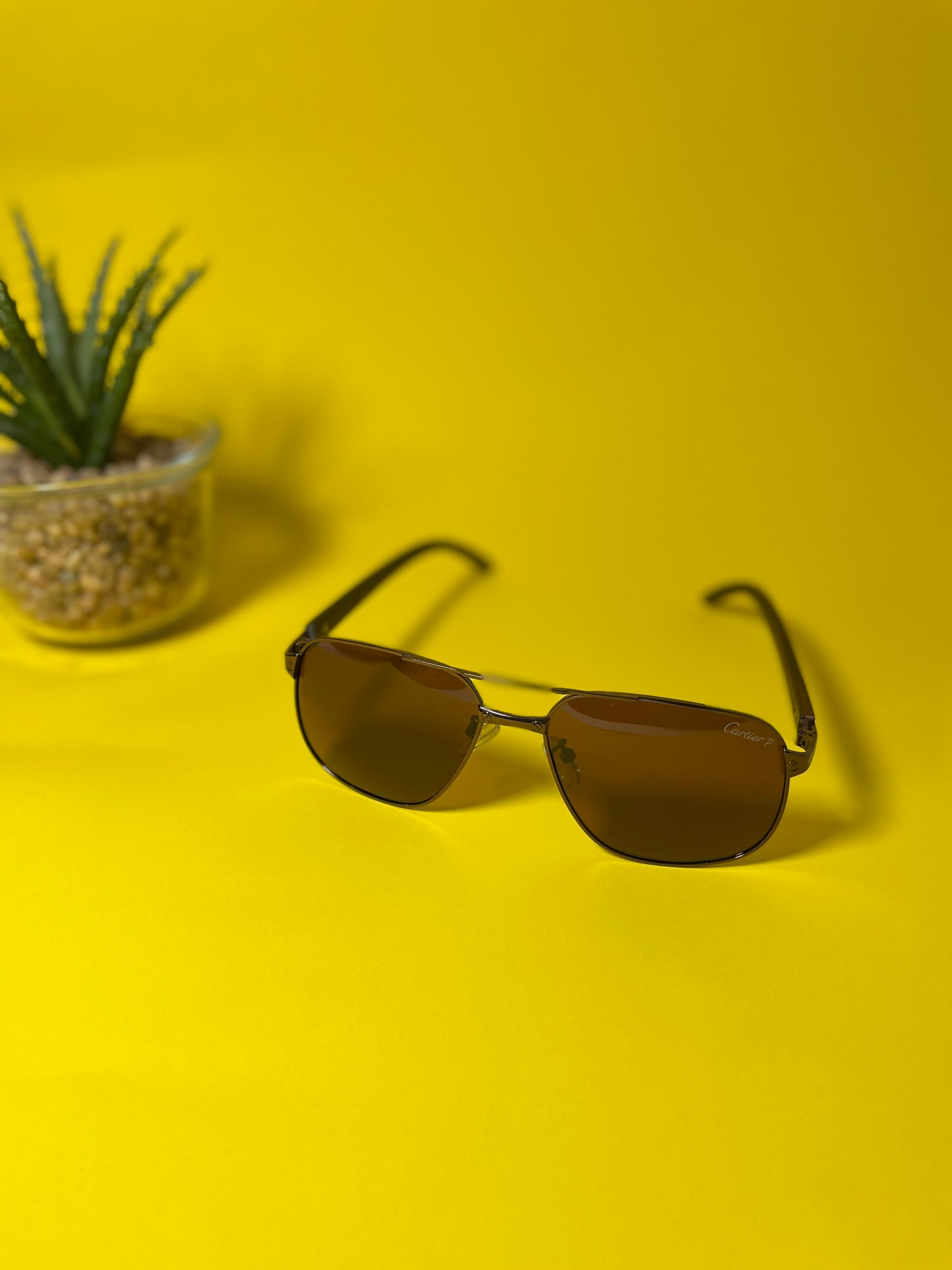 Lunette de soleil CARTIER