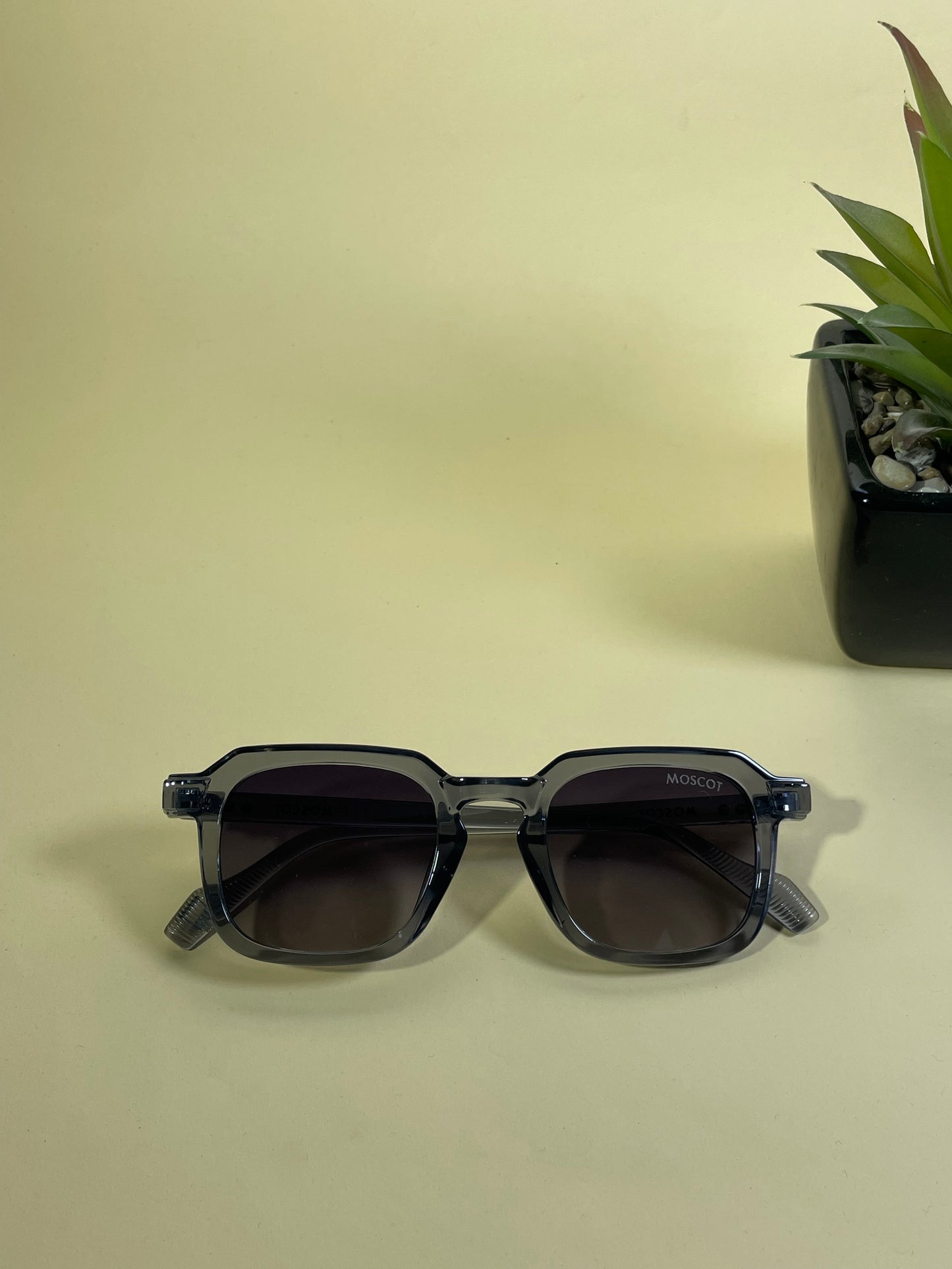 Lunette - MOSCOT -