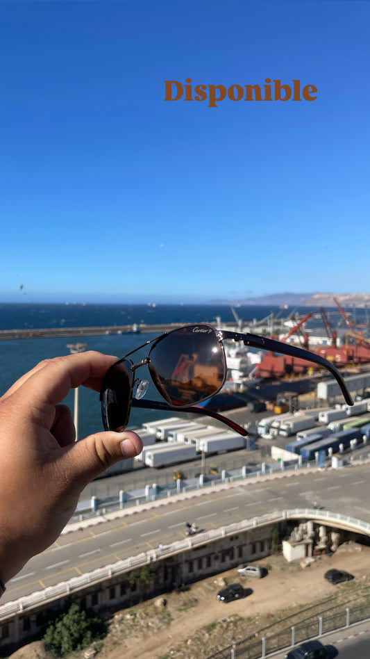 Lunette de soleil CARTIER